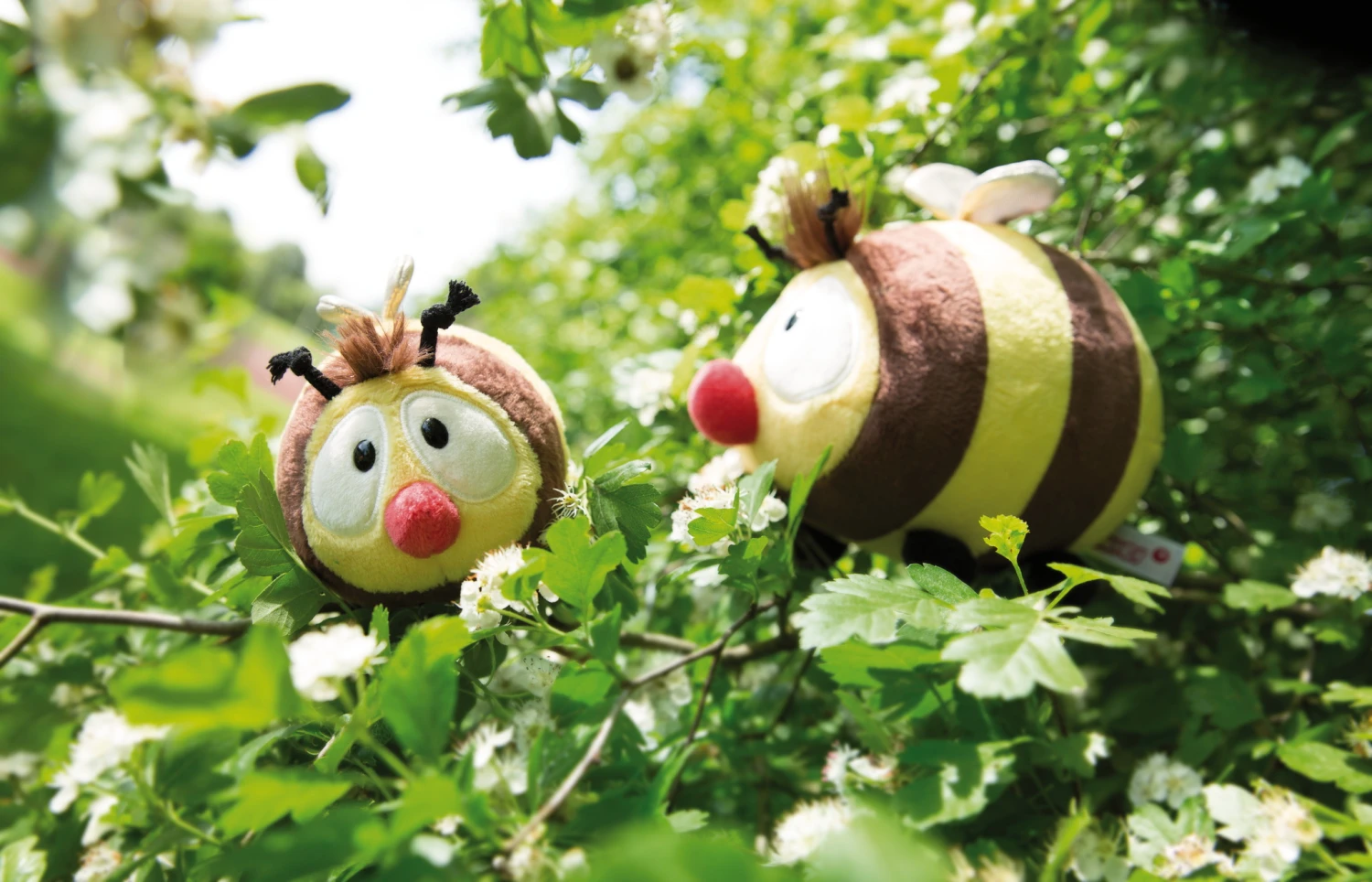 Nici 44480 Biene Classic Bear Bär Ca 12cm Plüsch Kuscheltier 5 Nici 44480 Biene Classic Bear Bär Ca 12cm Plüsch Kuscheltier – Bild 5