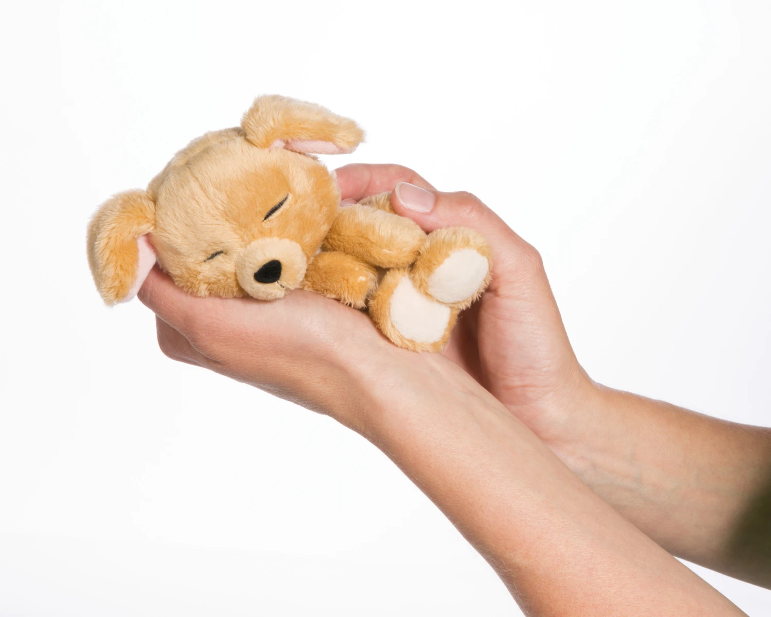 Nici 45371 Sleeping Puppies Schlafendes Hundebaby Im Körbchen 12cm Karamell 2 Nici 45371 Sleeping Puppies Schlafendes Hundebaby Im Körbchen 12cm Karamell – Bild 2