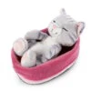 Nici 47144 Sleeping Kitties Schlafende Katze Im Körbchen 16cm Plüsch Grau