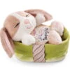 Nici 48709 Sleeping Pets Bunnies Hase Cappuccino 12cm Schlafend Im Körbchen Grün