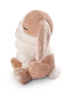 Nici 48709 Sleeping Pets Bunnies Hase Cappuccino 12cm Schlafend Im Körbchen Grün -Nici 48709 05 ZA Frei 1530x2048