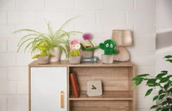 Nici 48944 Fleischfressende Pflanze Gisela 18cm Plüschfigur GREEN Funny Flowers 11 Nici 48944 Fleischfressende Pflanze Gisela 18cm Plüschfigur GREEN Funny Flowers -Nici 48941 11 Milieu 48942 48943 48944 Milieu me